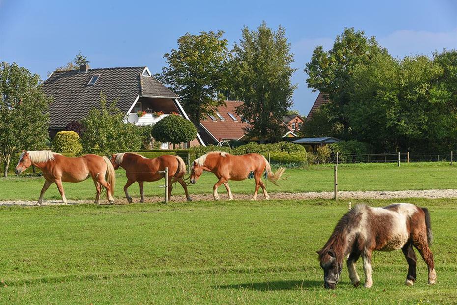 Ferienhof Zur Alten Linde Holtgast Extérieur photo